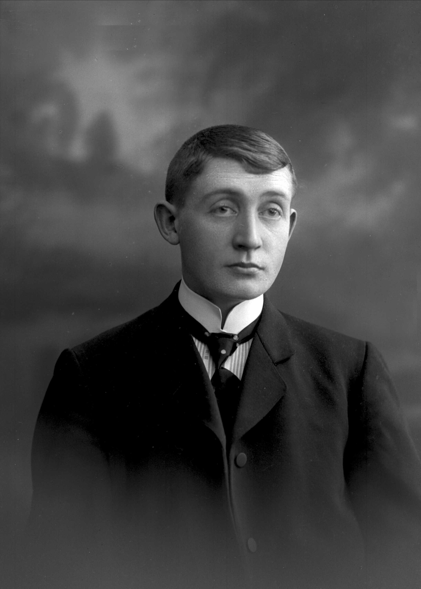 Gustav Borgen, Portrett av ung mann i dress (Kristian Strømmen)