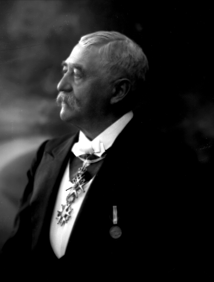 Gustav Borgen, Portrett, stortingsmann Hans Hansen med ordensbånd, St Olavsorden.