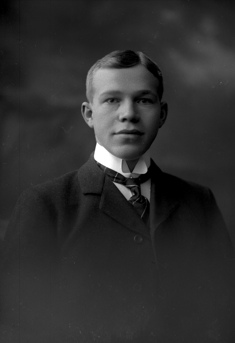 Gustav Borgen, NFB.11733