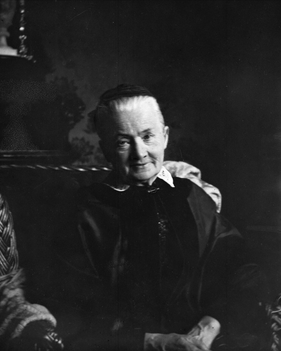 Gustav Borgen, Avfotografering.