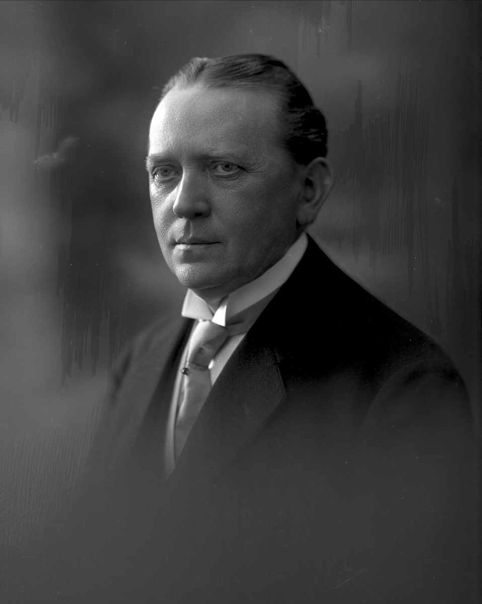 Gustav Borgen, NFB.13085