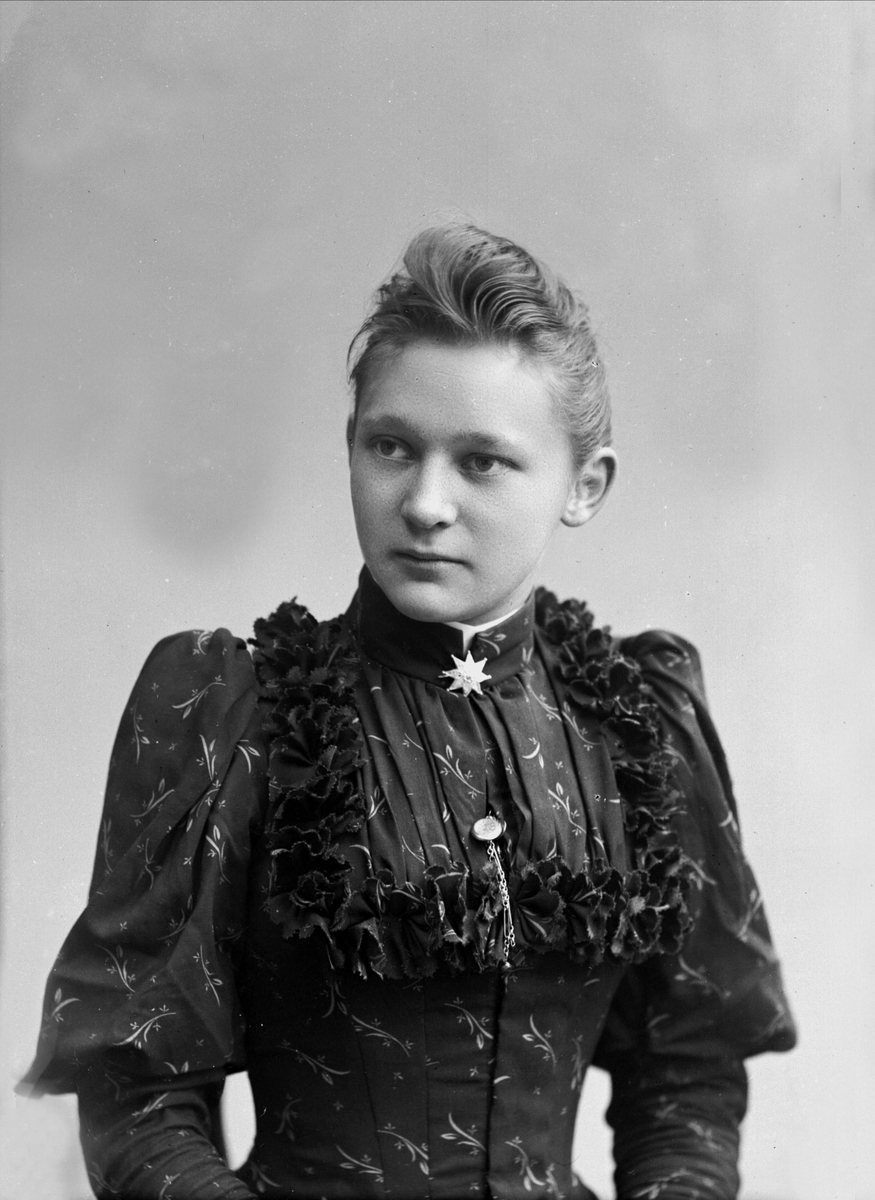 Gustav Borgen, NFB.13735