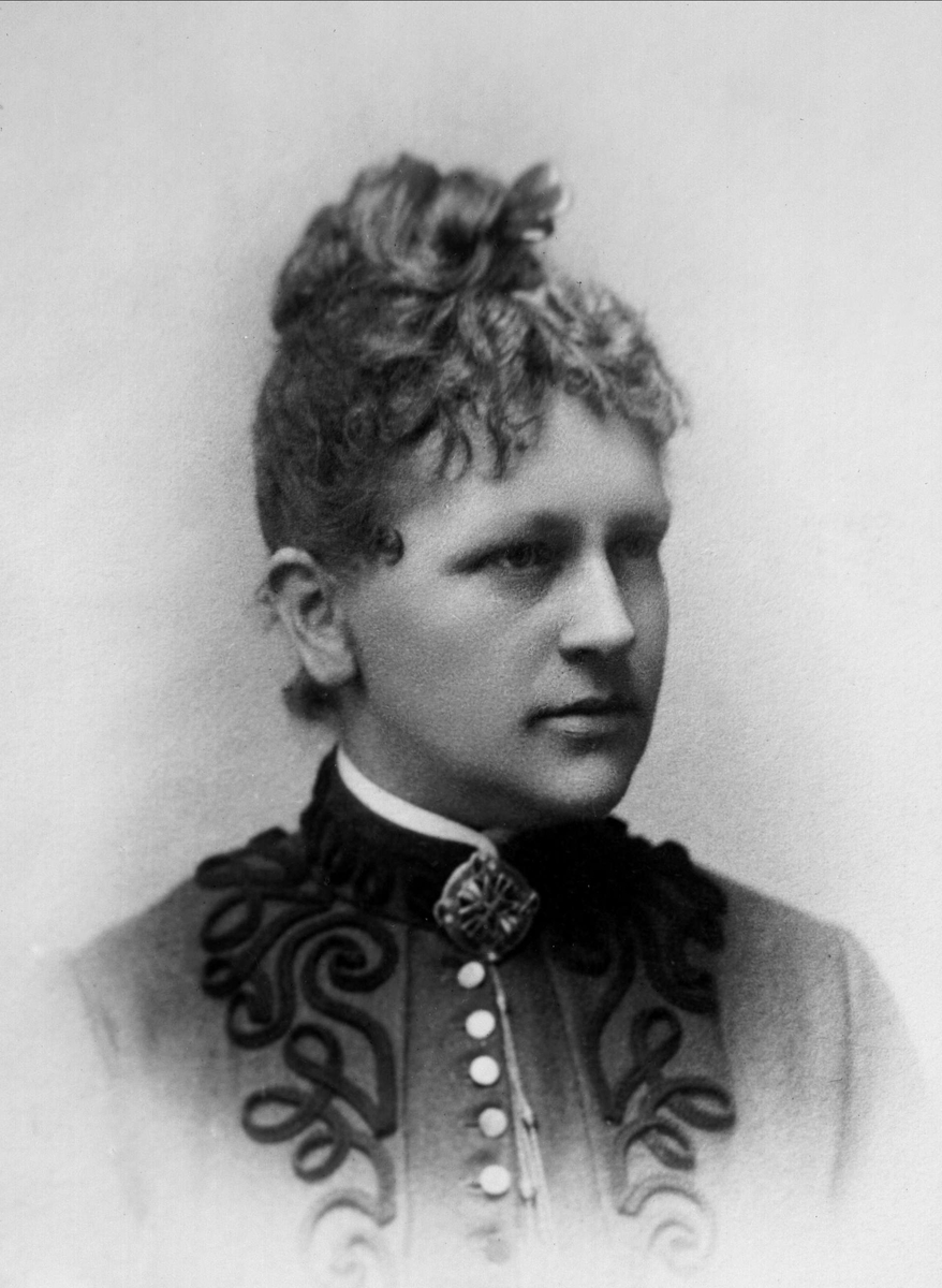 Gustav Borgen, Avfotografering.