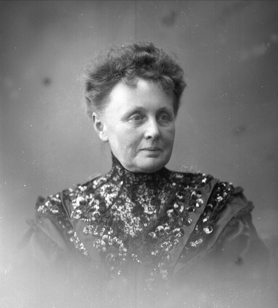 Gustav Borgen, NFB.19067