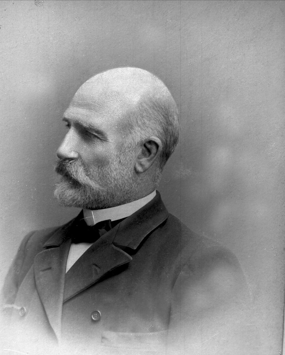 Gustav Borgen, Avfotografering.