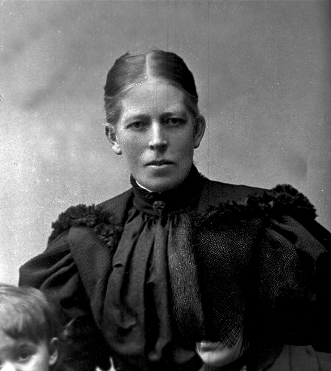 Gustav Borgen, Avfotografering.