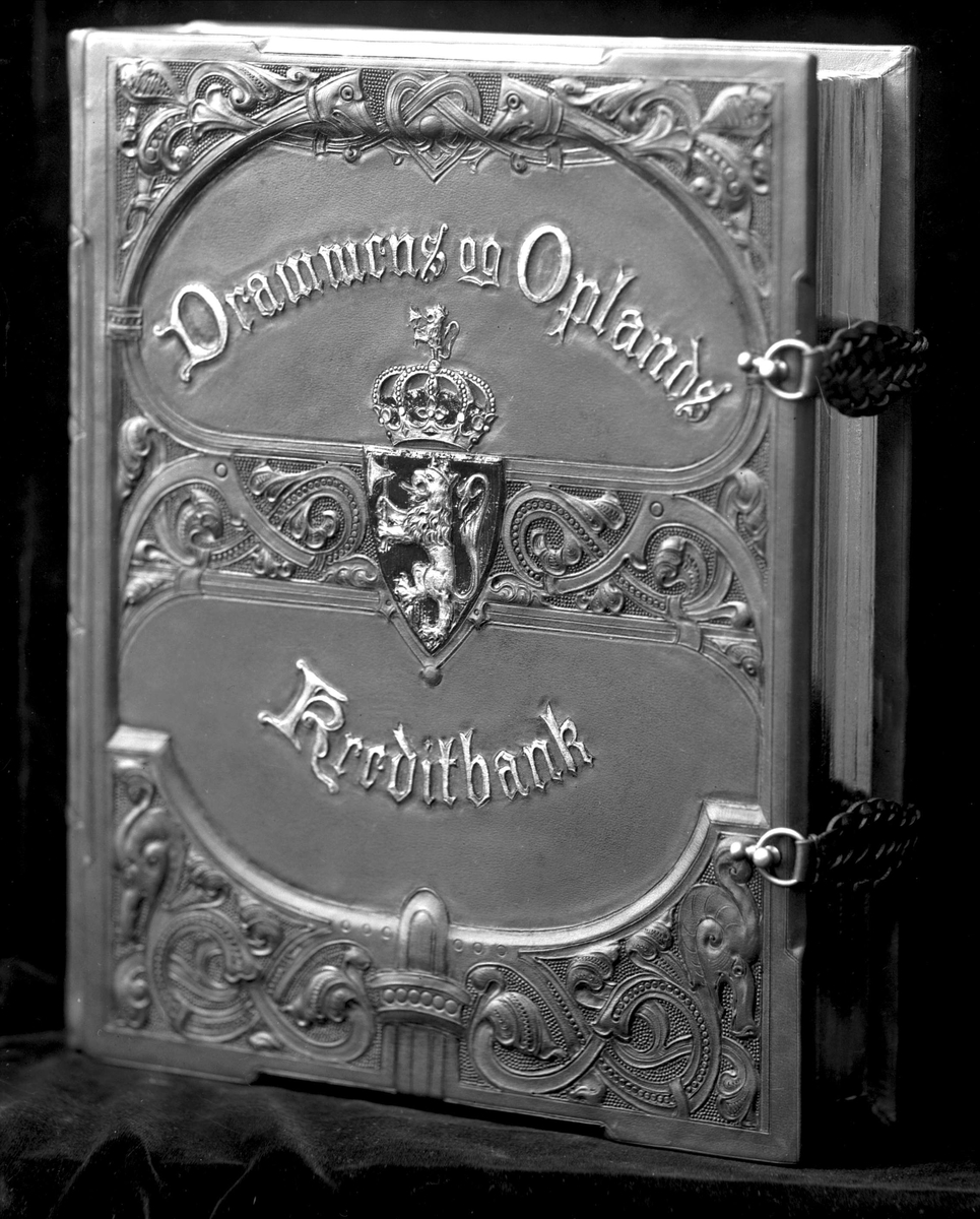 Gustav Borgen, Skinninnbundet bok, riksløve. Drammens og Oplands Kreditbank. Herr Holters arbeider?