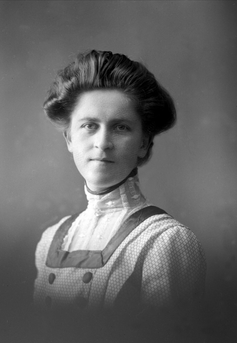 Gustav Borgen, NFB.22515