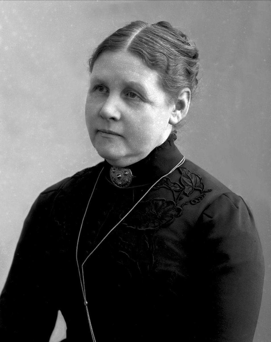 Gustav Borgen, NFB.23338