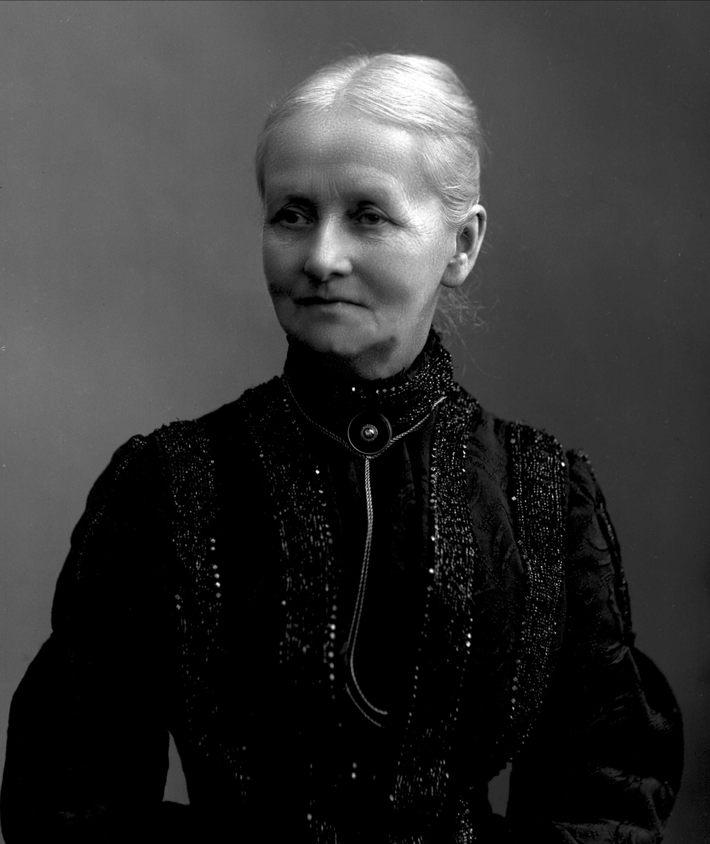 Gustav Borgen, NFB.24912