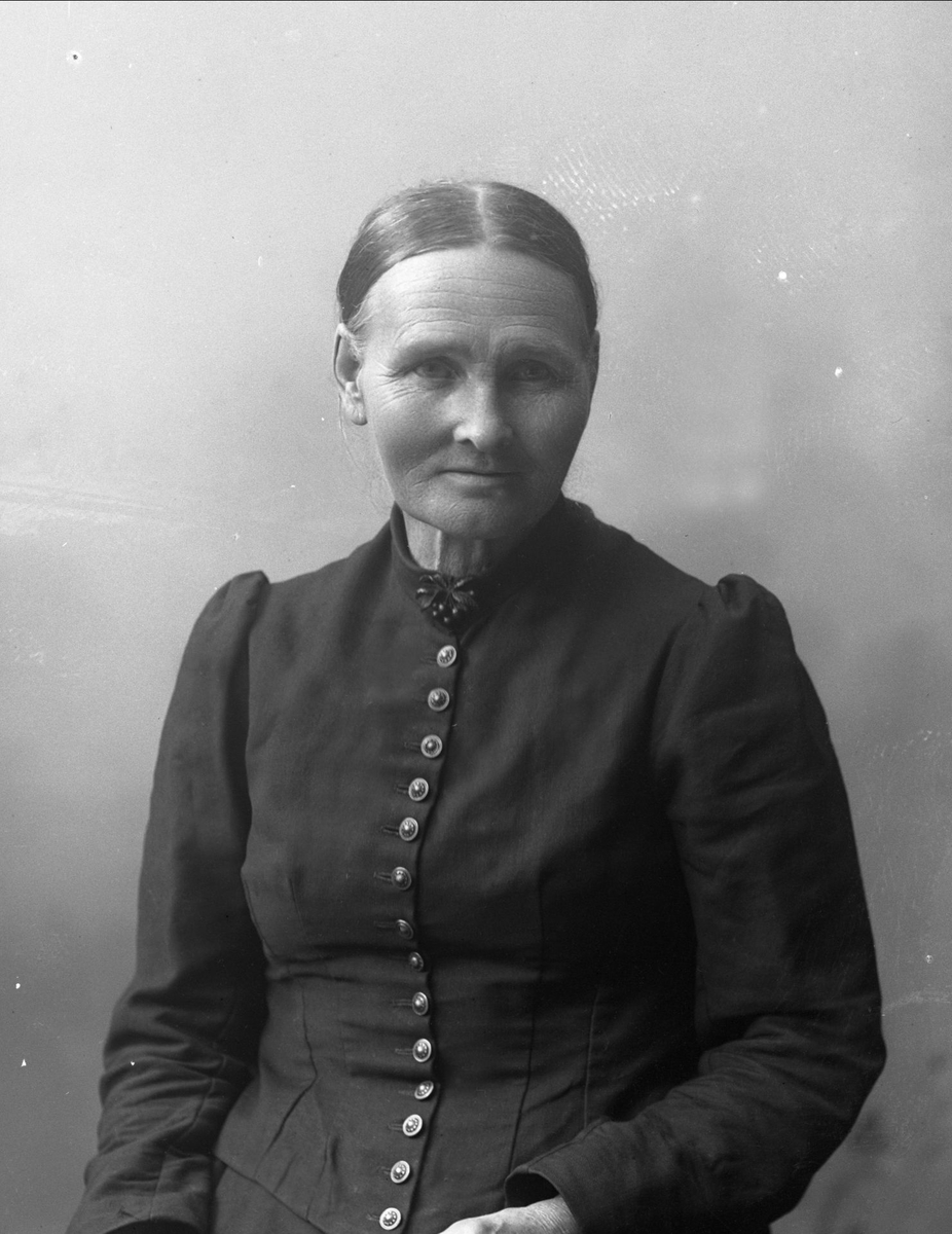 Gustav Borgen, NFB.27530