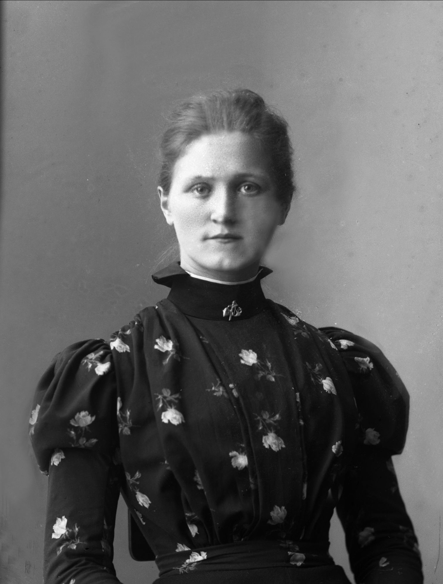 Gustav Borgen, NFB.27538