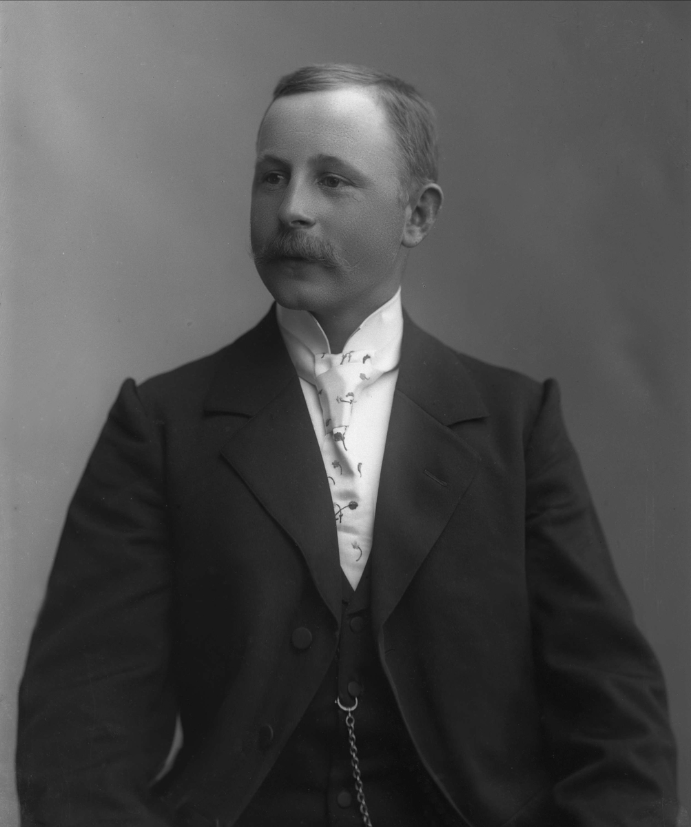 Gustav Borgen, NFB.33854
