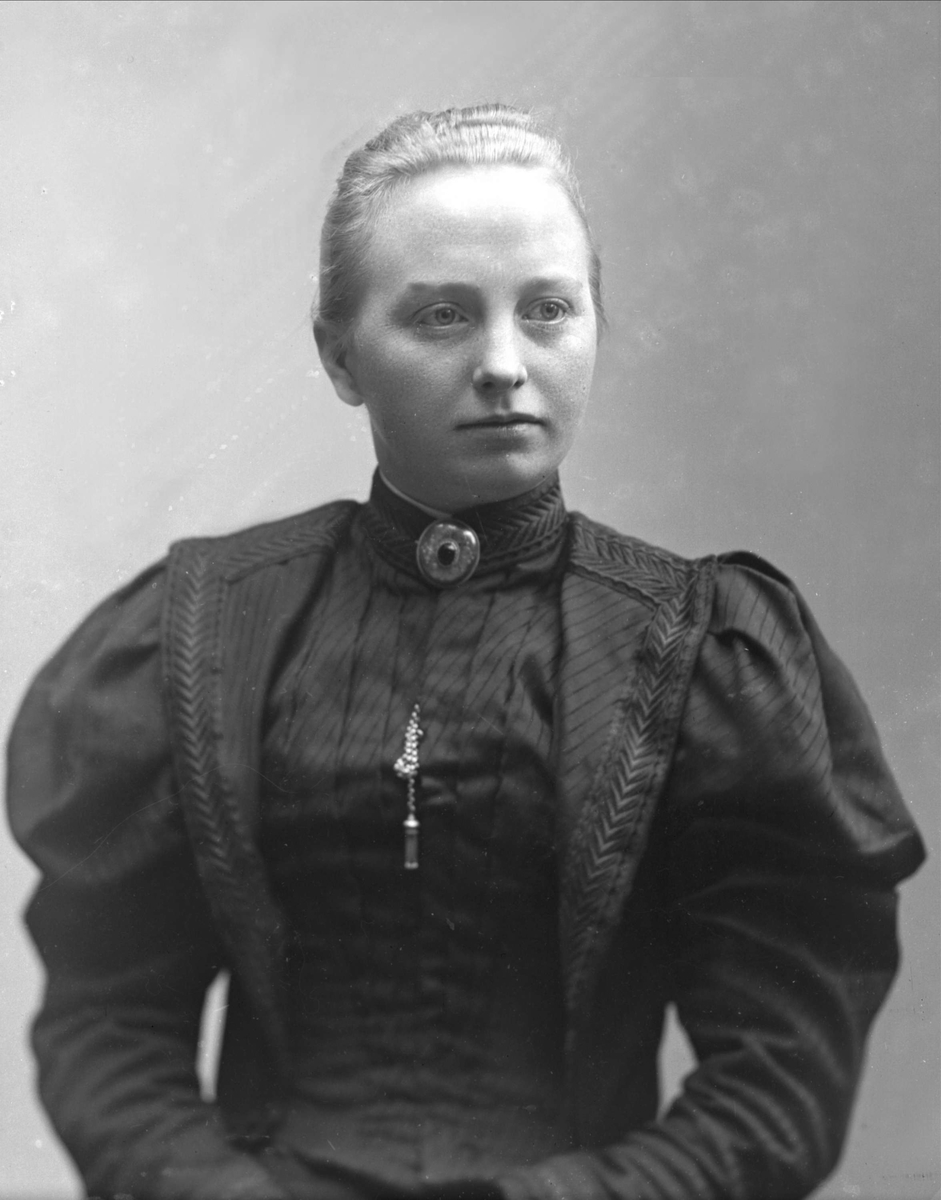 Gustav Borgen, NFB.34210