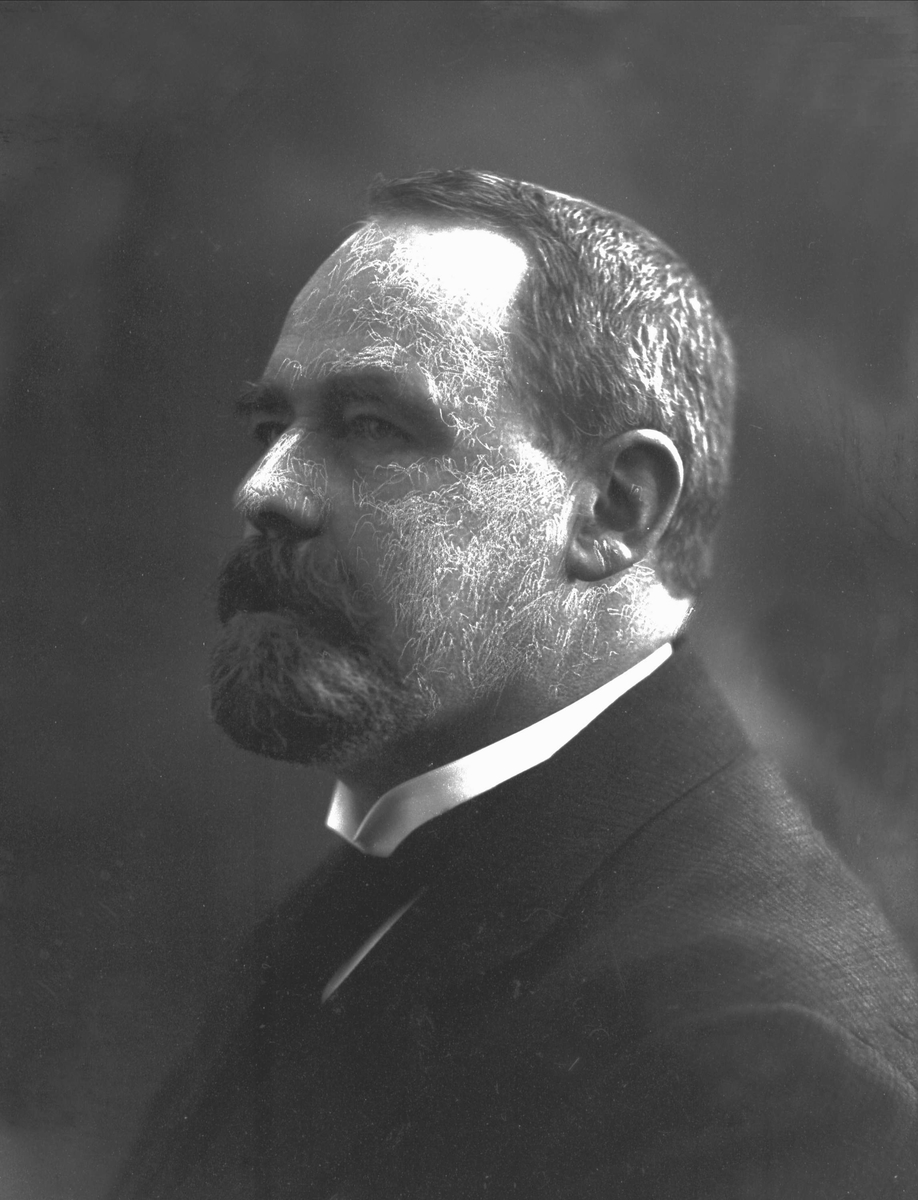 Gustav Borgen, NFB.36483