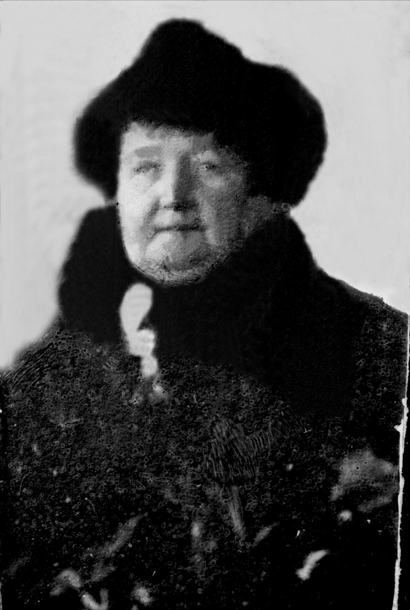 Gustav Borgen, Avfotografering.