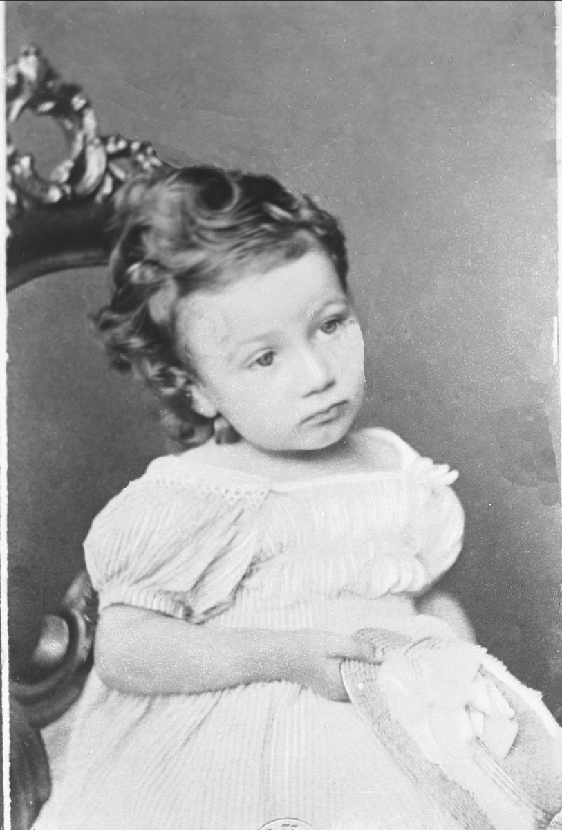 Gustav Borgen, Avfotografering.