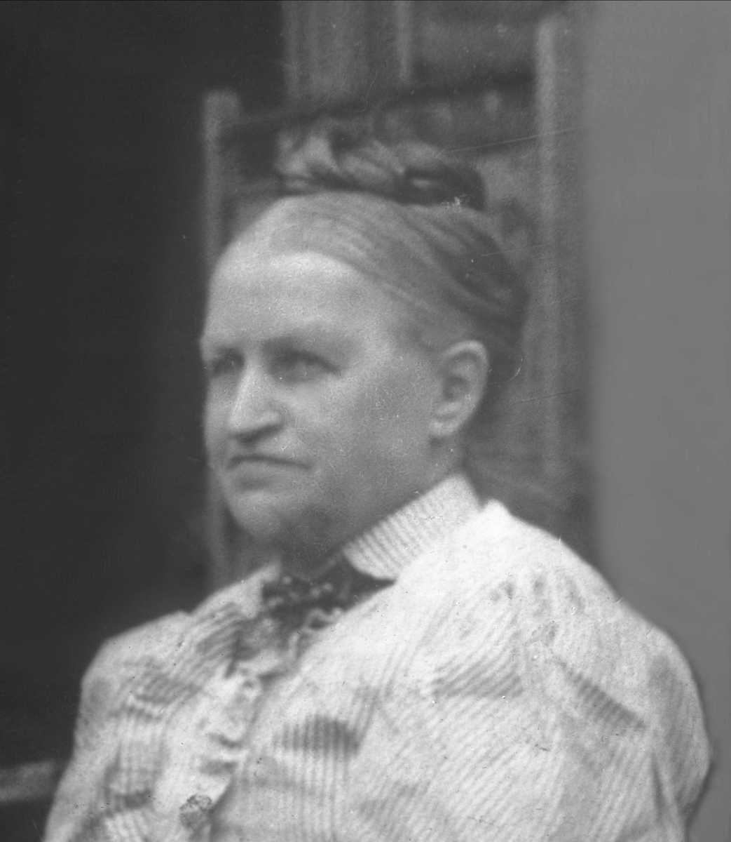 Gustav Borgen, Avfotografering.