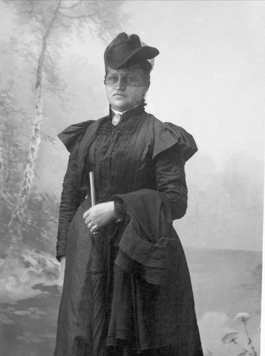 Gustav Borgen, Avfotografering.