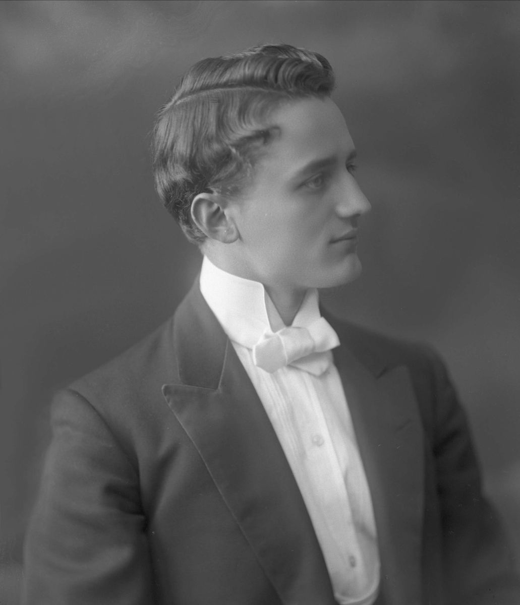 Gustav Borgen, Portrett, pianist Alme.