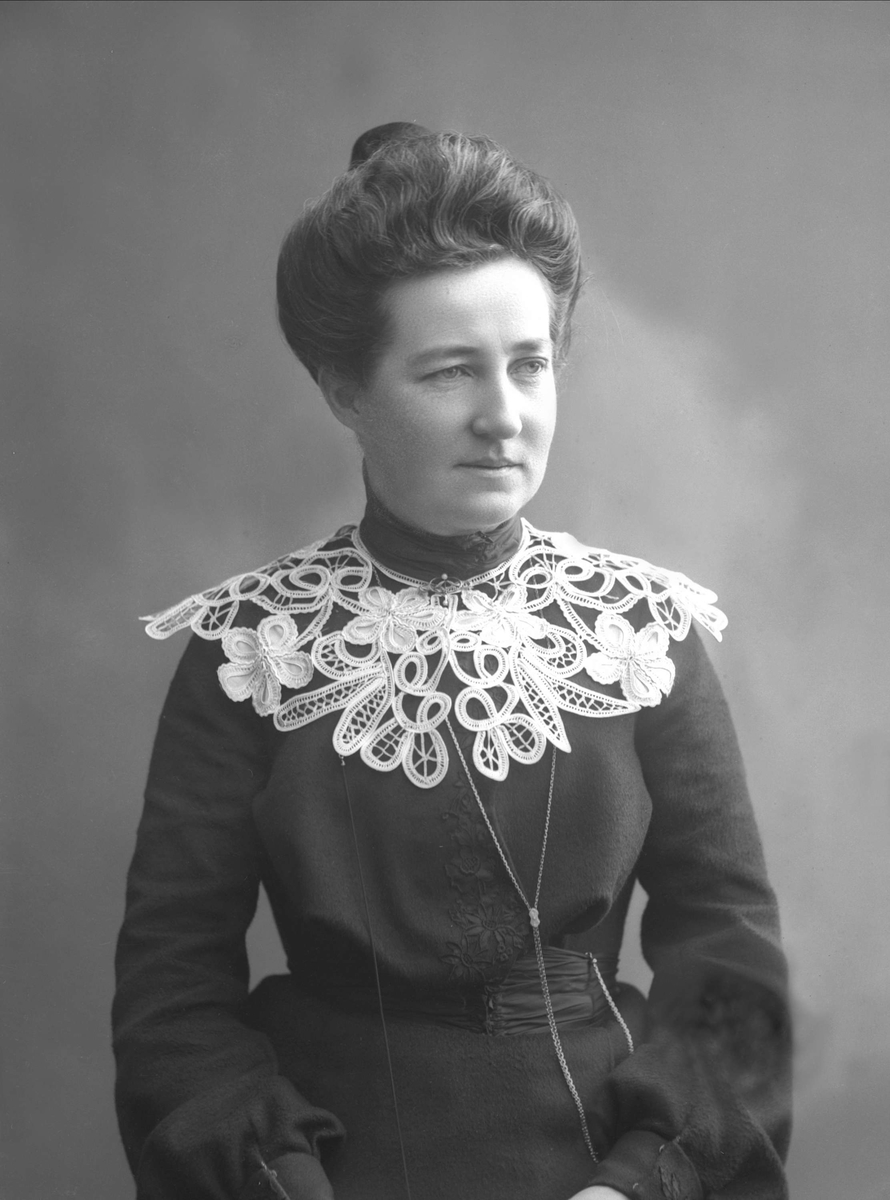 Gustav Borgen, NFB.52270