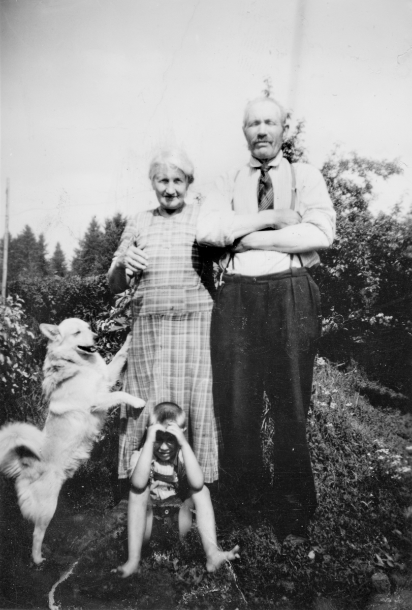 Anno Domkirkeodden, Ingeborg og Ole Sveen, fra Sveen i Ottestad, stange. Foran sitter barnebarnet Ole Eilif Sveen. Hund. 1947.