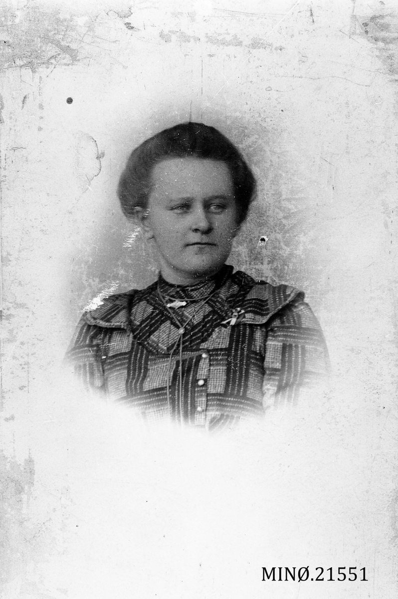 Henrik Augustinsson Stinessen, Portrett av kvinne