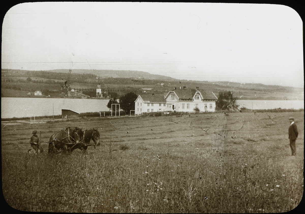 Anno Domkirkeodden, Bilder fra dagliglivet på Toftes Gave, Nedre Sund, Helgøya. Slåttonn med hest og slepeslåmaskin. Skredderstua i bakgrunn. Nes kirke.