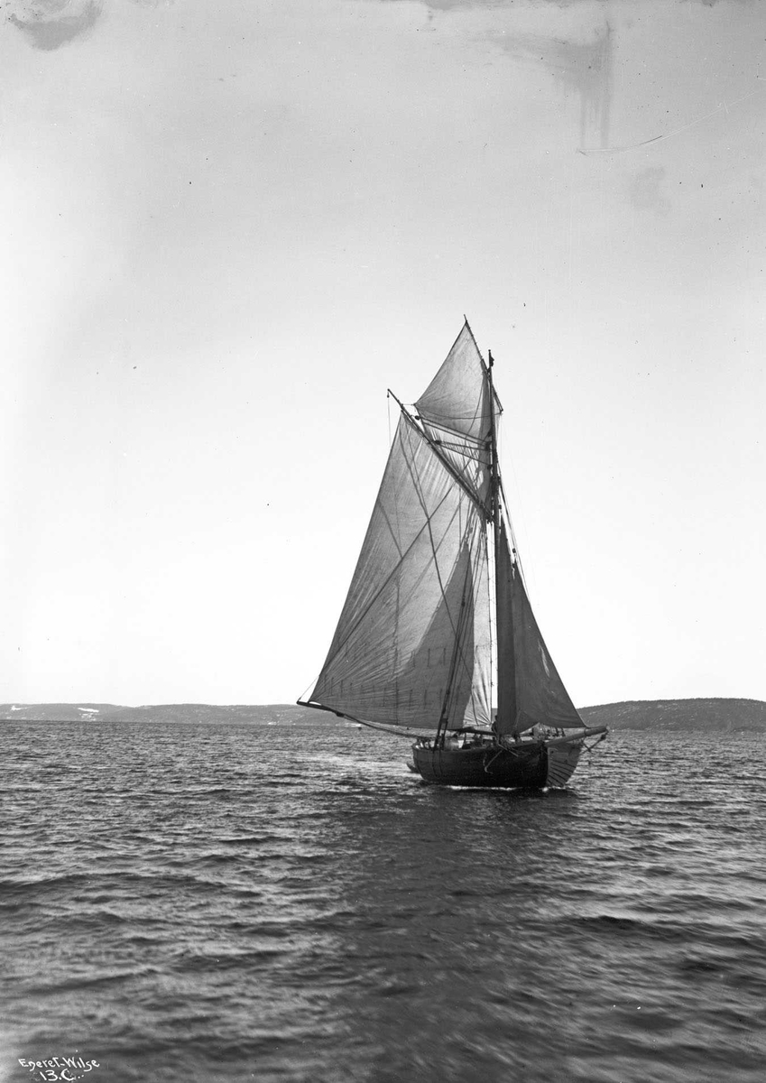 Anders Beer Wilse, Jakt