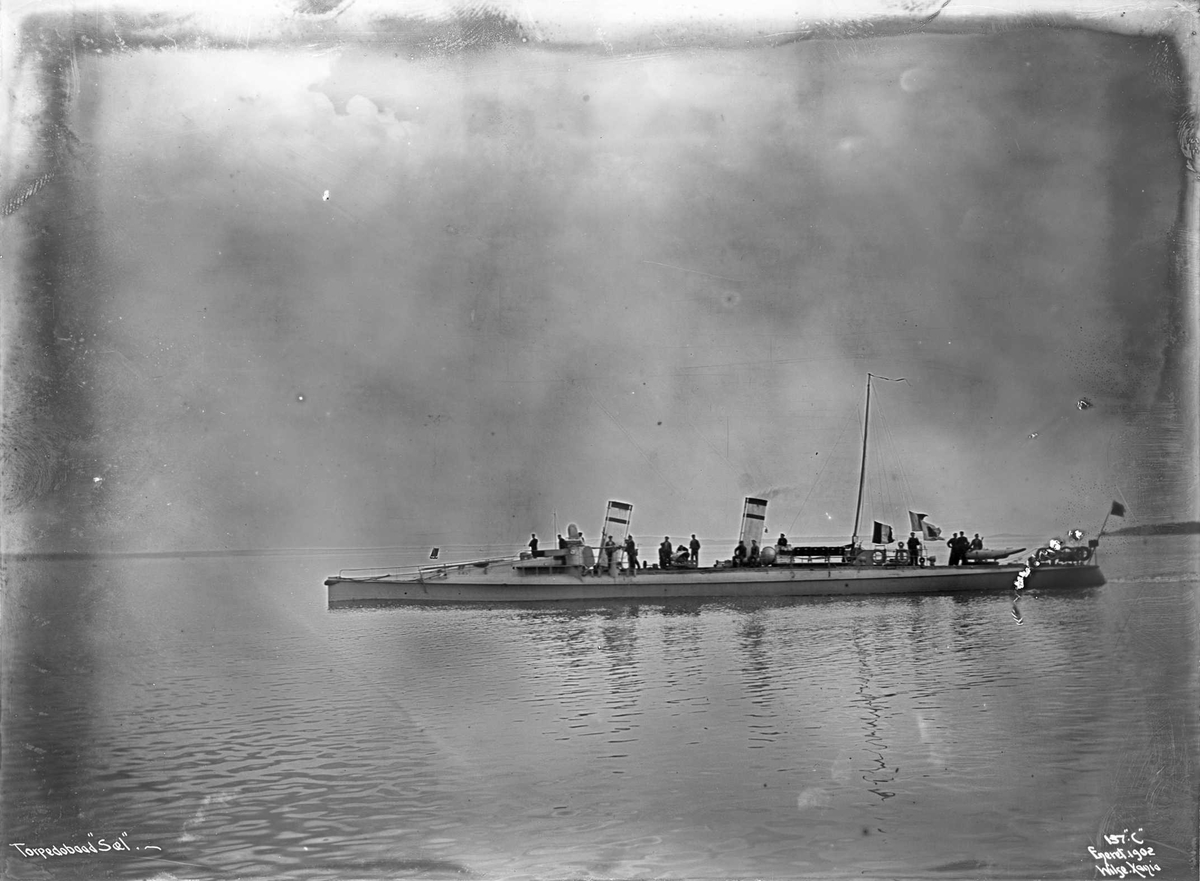 Anders Beer Wilse, Sæl (b. 1901, Karljohansvern verft, Horten), torpedobåt