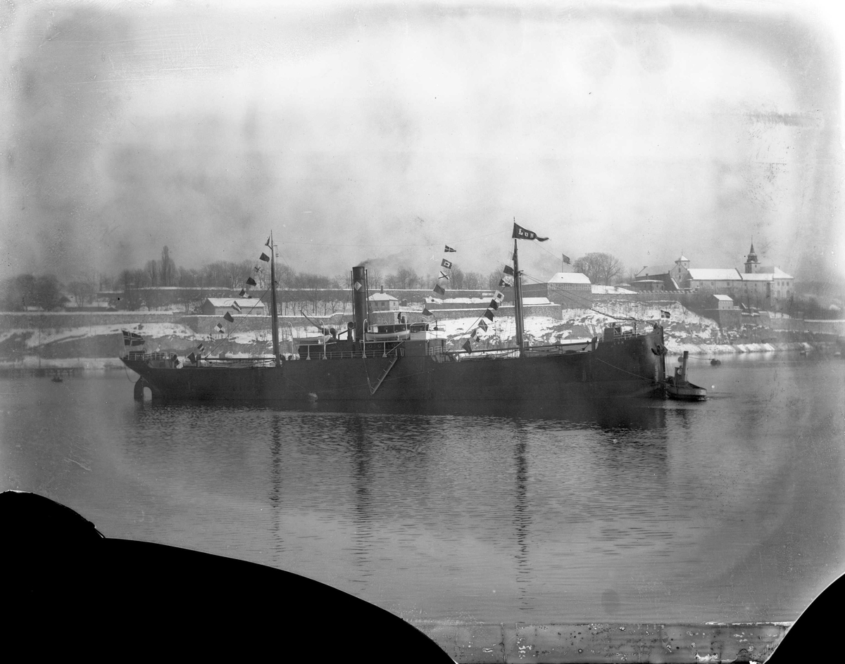 Anders Beer Wilse, D/S Lom (b. 1904, Nylands Verksted, Christiania)