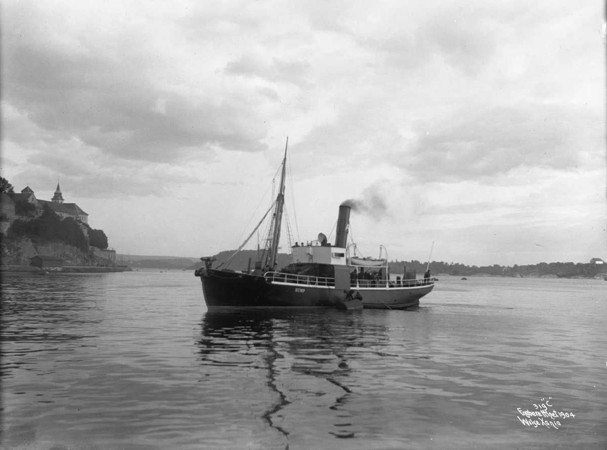 Anders Beer Wilse, D/S Hump (b. Akers Mekaniske Verksted, Christiania), hvalfangeren