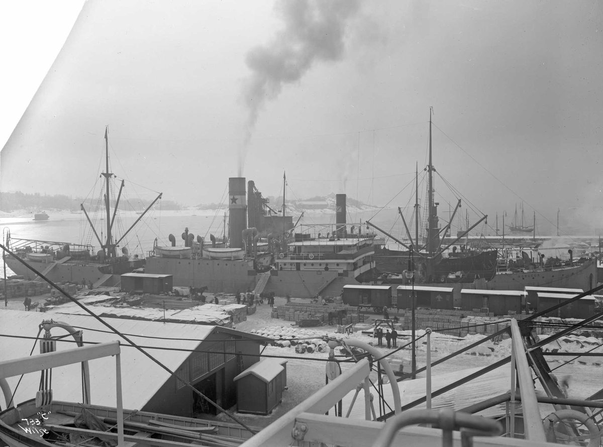 Anders Beer Wilse, D/S Noruega (b. 1909, Fevigs Jernskibsbyggeri, Grimstad)