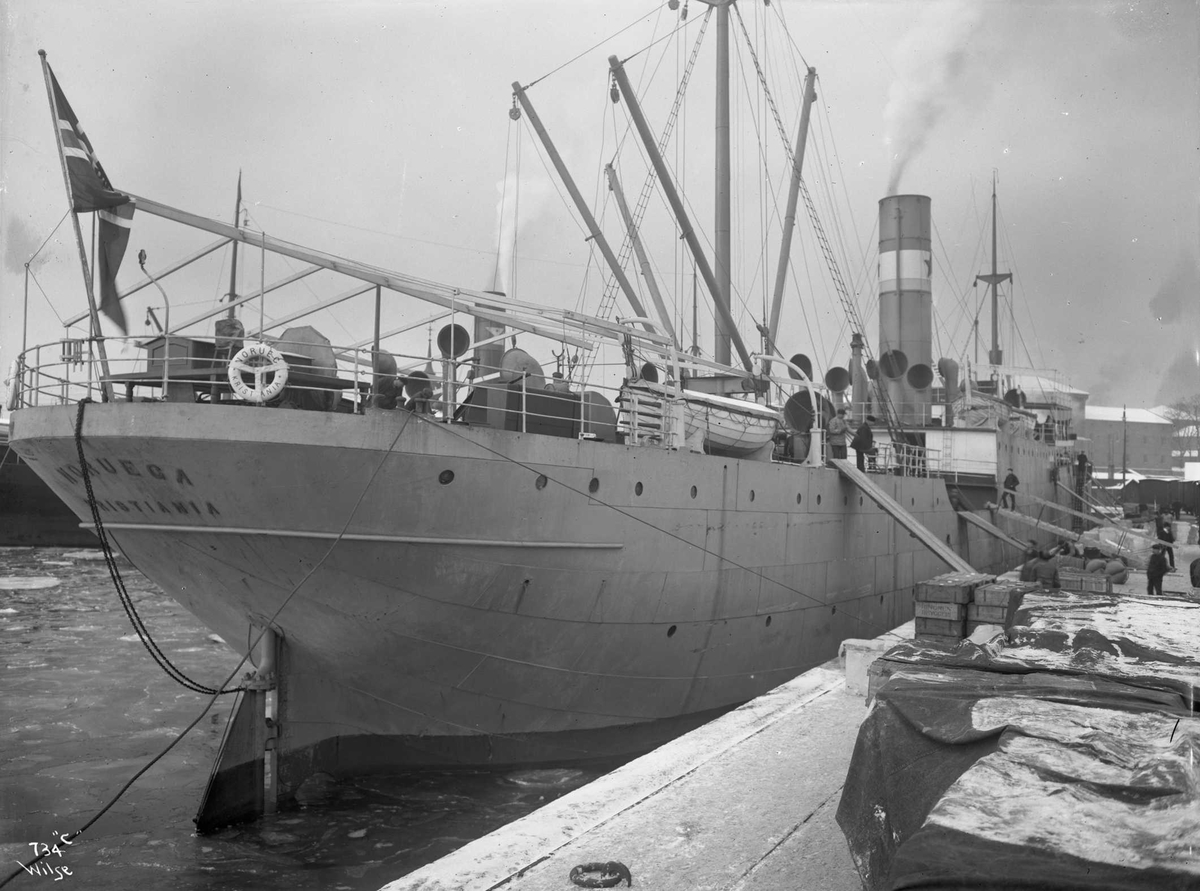 Anders Beer Wilse, D/S Noruega (b. 1909, Fevigs Jernskibsbyggeri, Grimstad)