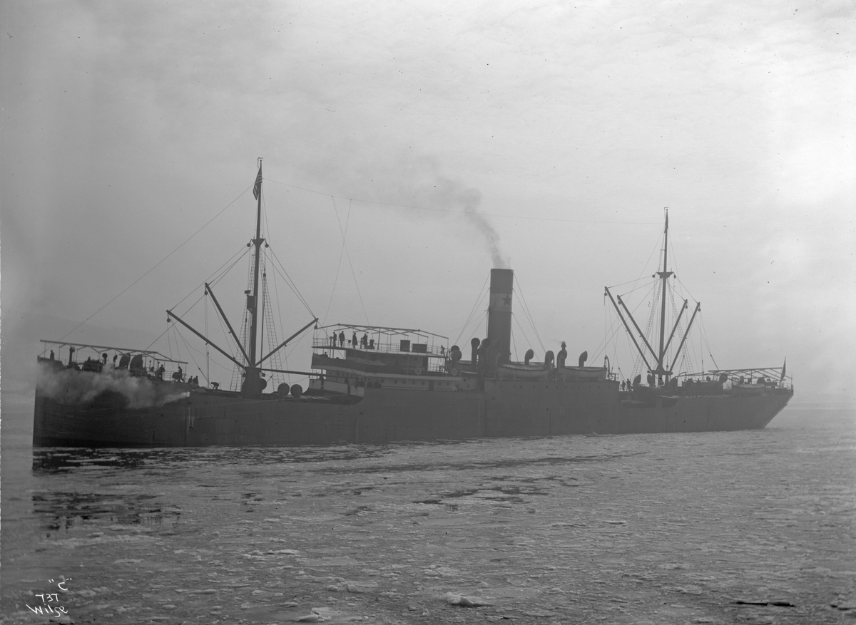 Anders Beer Wilse, D/S Noruega (b. 1909, Fevigs Jernskibsbyggeri, Grimstad)