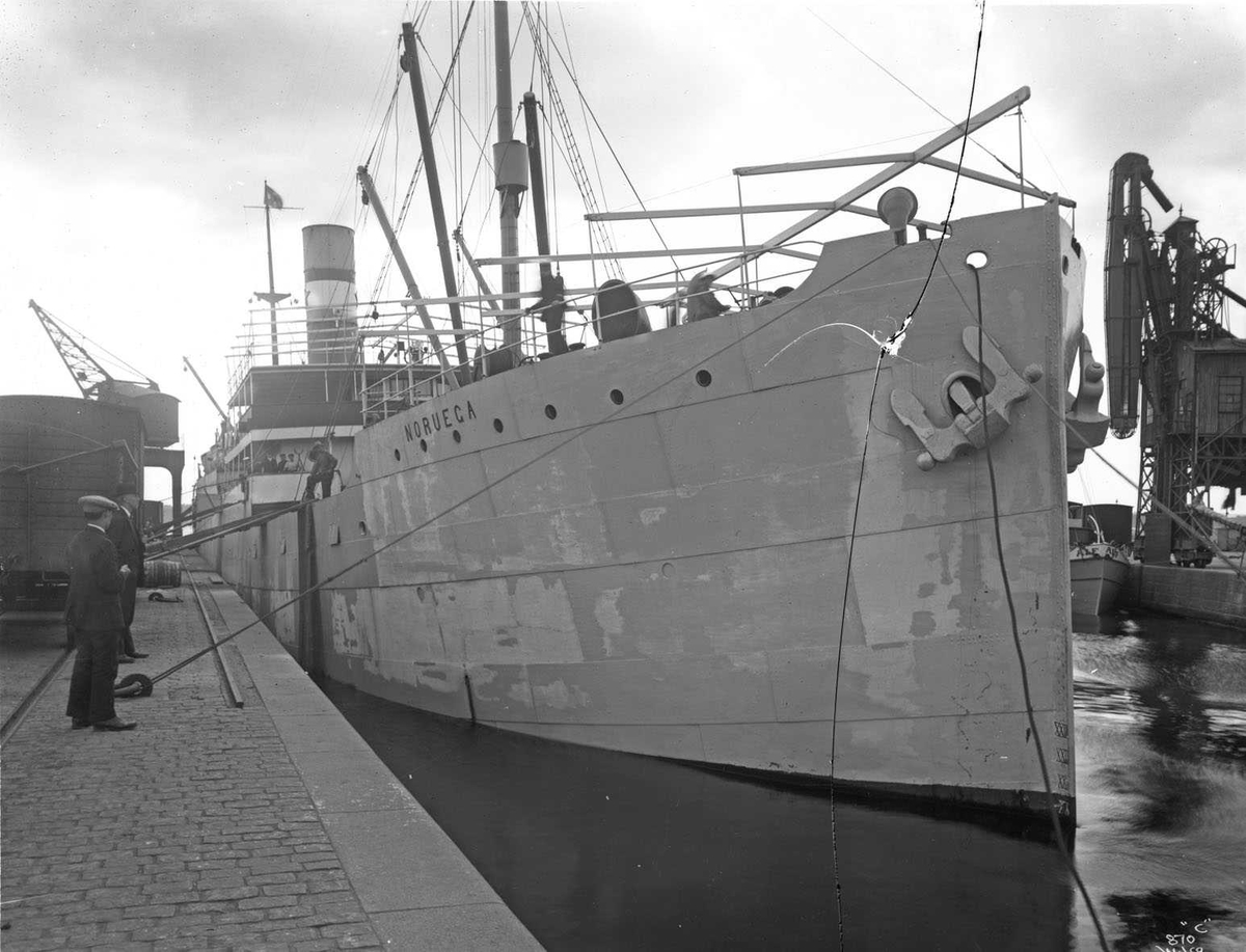 Anders Beer Wilse, D/S Noruega (b. 1909, Fevigs Jernskibsbyggeri, Grimstad)