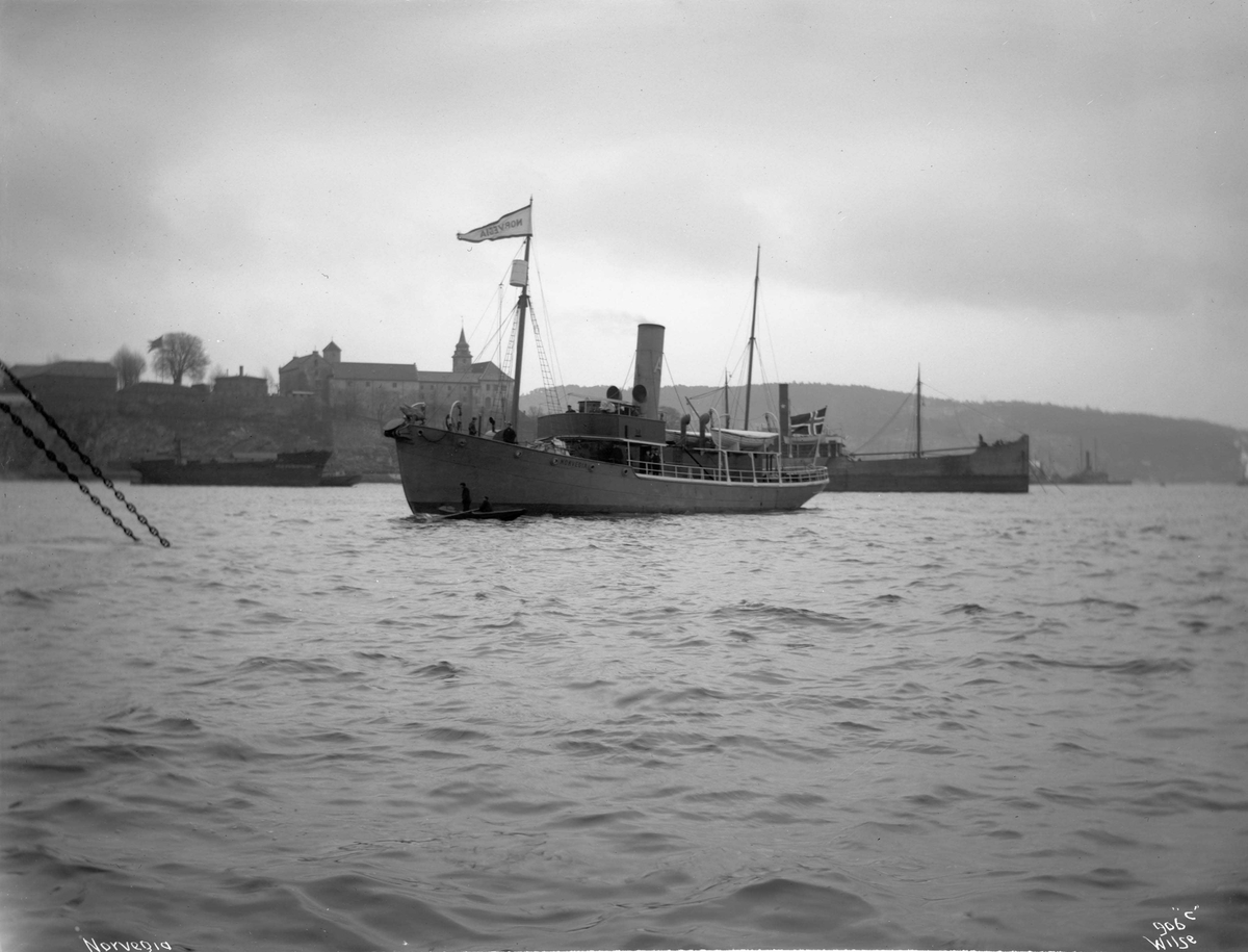 Anders Beer Wilse, D/S Norvegia