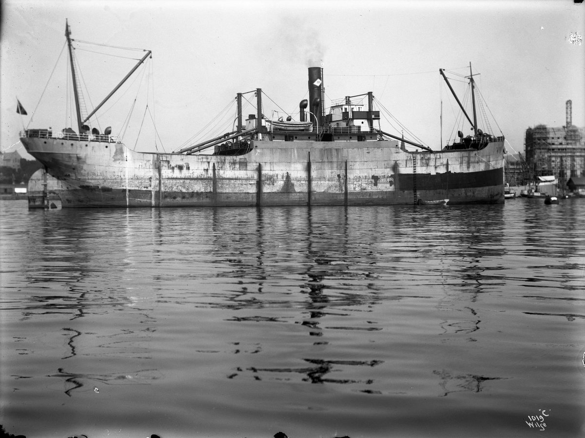 Anders Beer Wilse, D/S Blaamyra (b. 1916, Western Dry Dock & Shipbuilding Co., Port Arthur, Ontario)