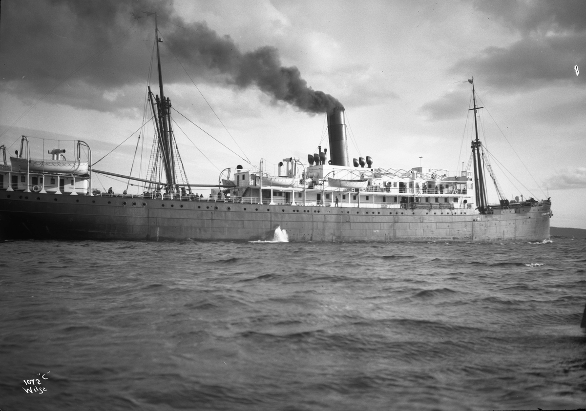 Anders Beer Wilse, D/S Calypso (1898, Sir Raylton Dixon & Co, Middlesborough)