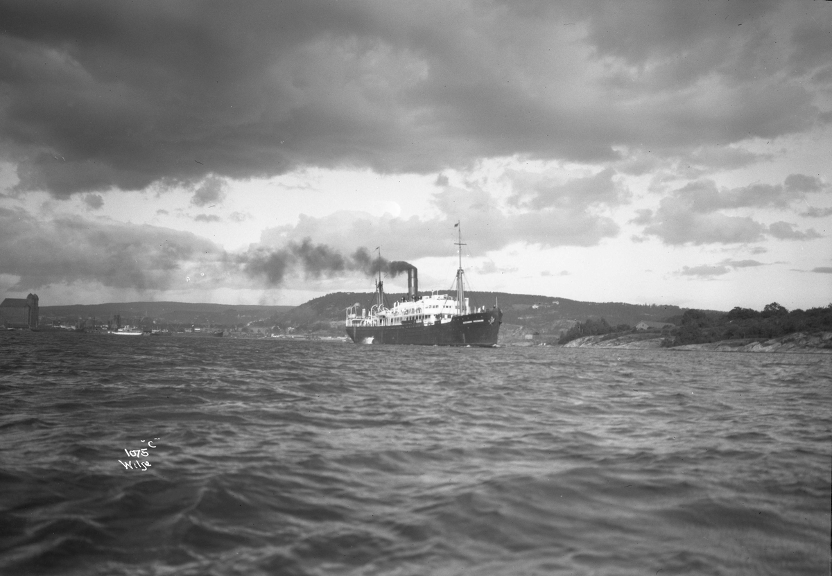 Anders Beer Wilse, D/S Calypso (1898, Sir Raylton Dixon & Co, Middlesborough)