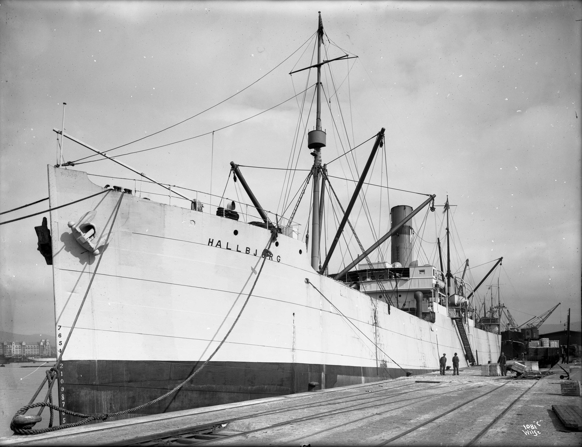 Anders Beer Wilse, D/S Hallbjørg (b. 1900, Sir Raylton Dixon & Co., Middlesborough)