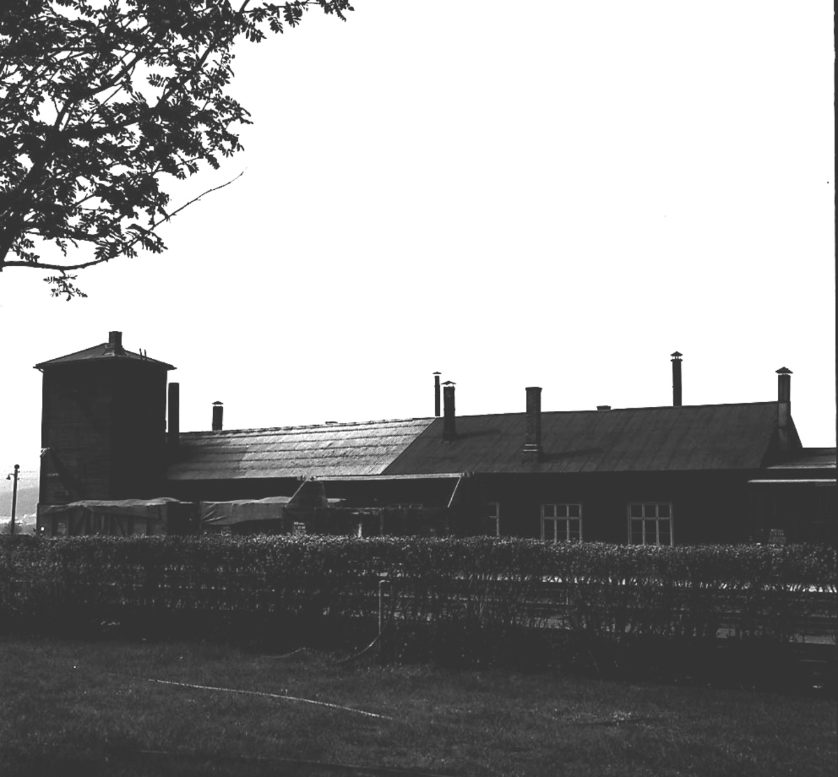 Per Magne Grue, Den gamle lokomotivstallen på Tynset stasjon.