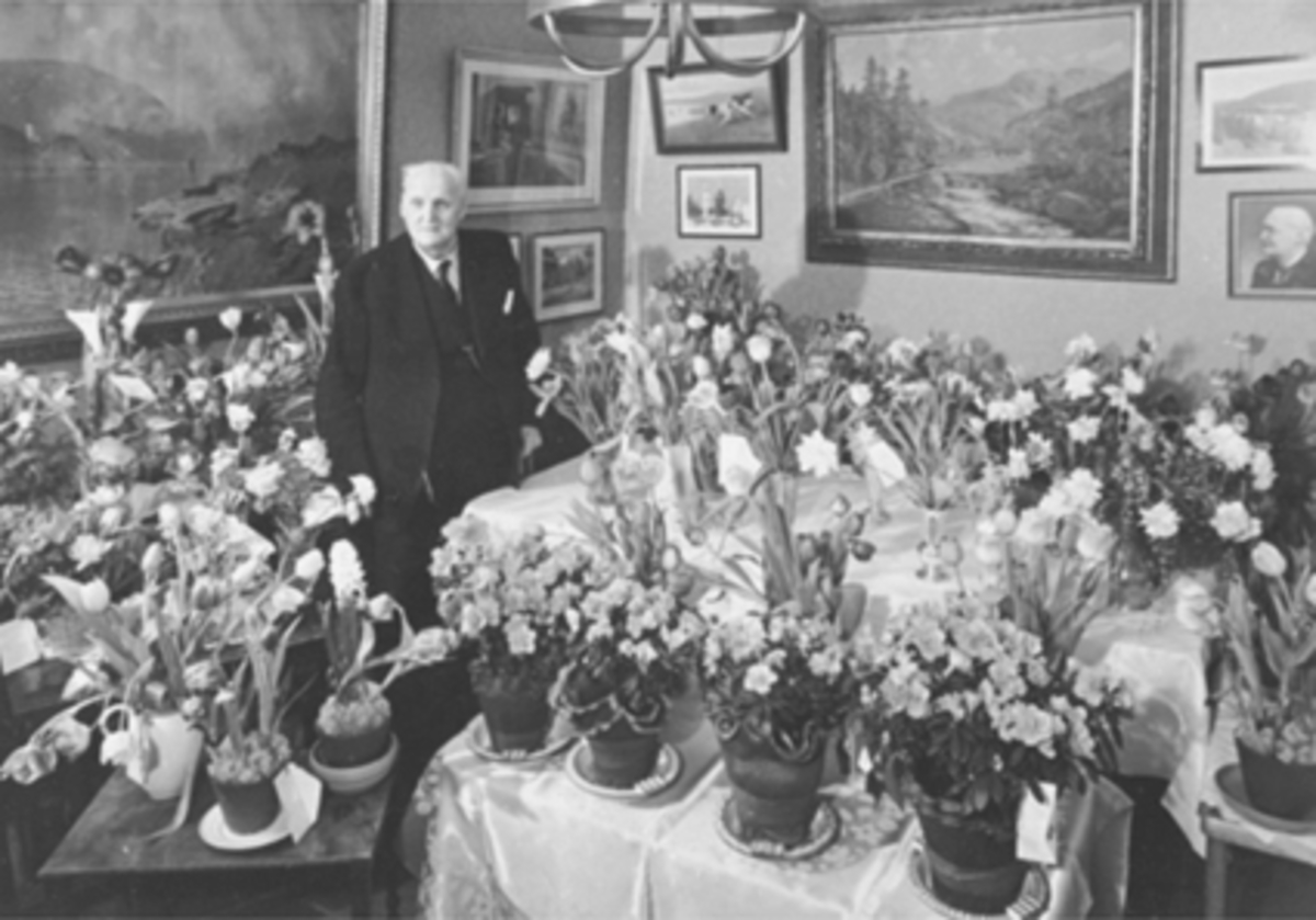 Anno Domkirkeodden, GULLSMED K. O. LIBERG, 80 ÅR, INTERIØR: STUE, BLOMSTER