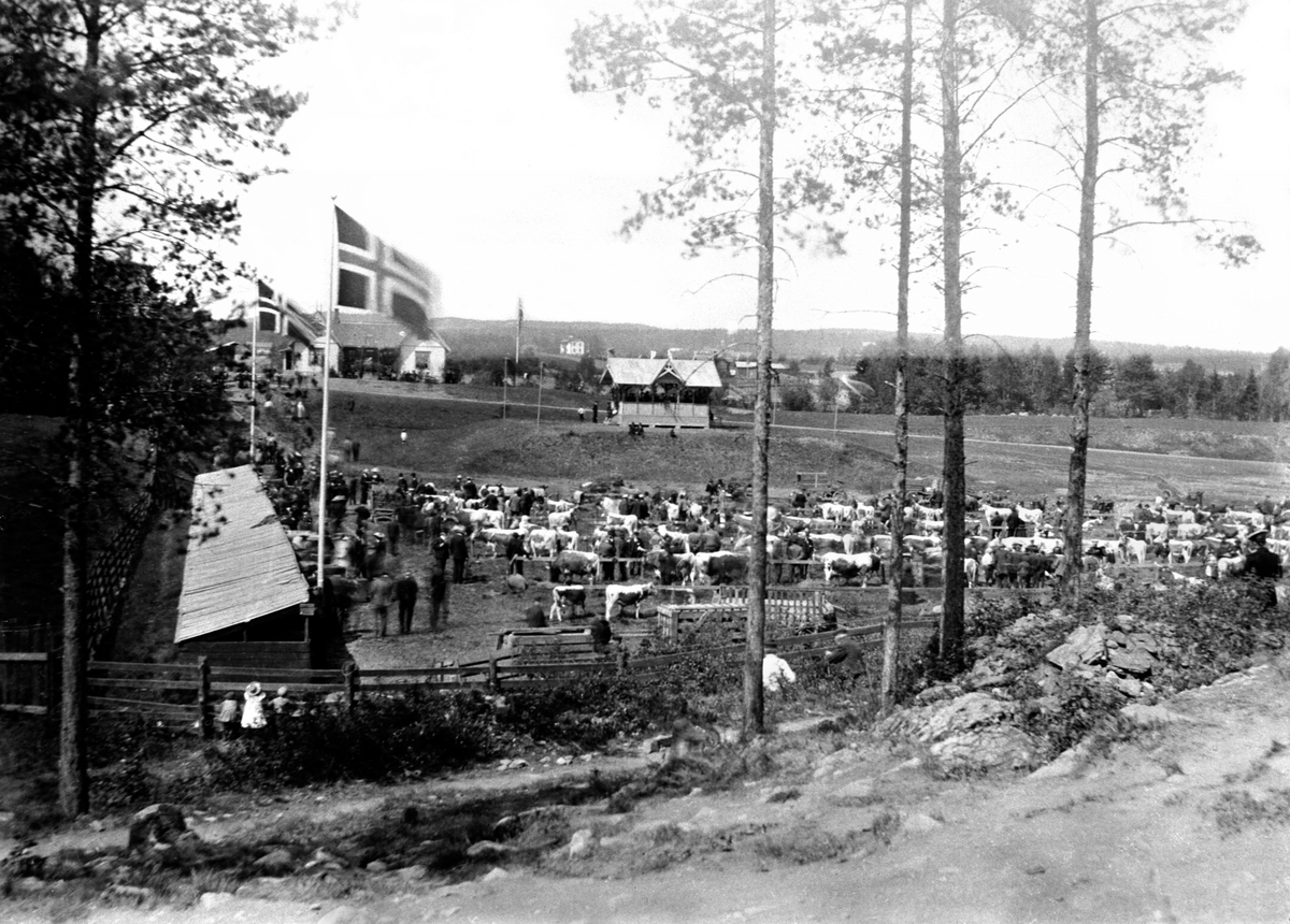 Anno Domkirkeodden, FESJÅ, UTSTILLINGSPLASSEN, HAMAR PARK, MARTEN, KUUTSTILLING, MARKED.