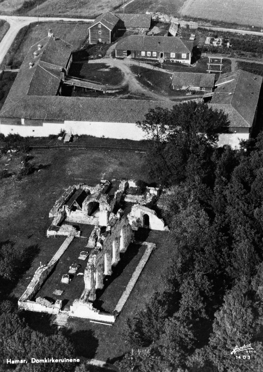 Anno Domkirkeodden, FLYFOTO DOMKIRKERUINEN, STORHAMARLÅVEN, DRENGSTUA, DOMKIRKEODDEN OG HEDMARKSMUSEET, LÅVEN FØR RESTAURERING, 2 LÅVEBRUER OG VOGNSKJUL I BORGGÅRDEN. POSTKORT.