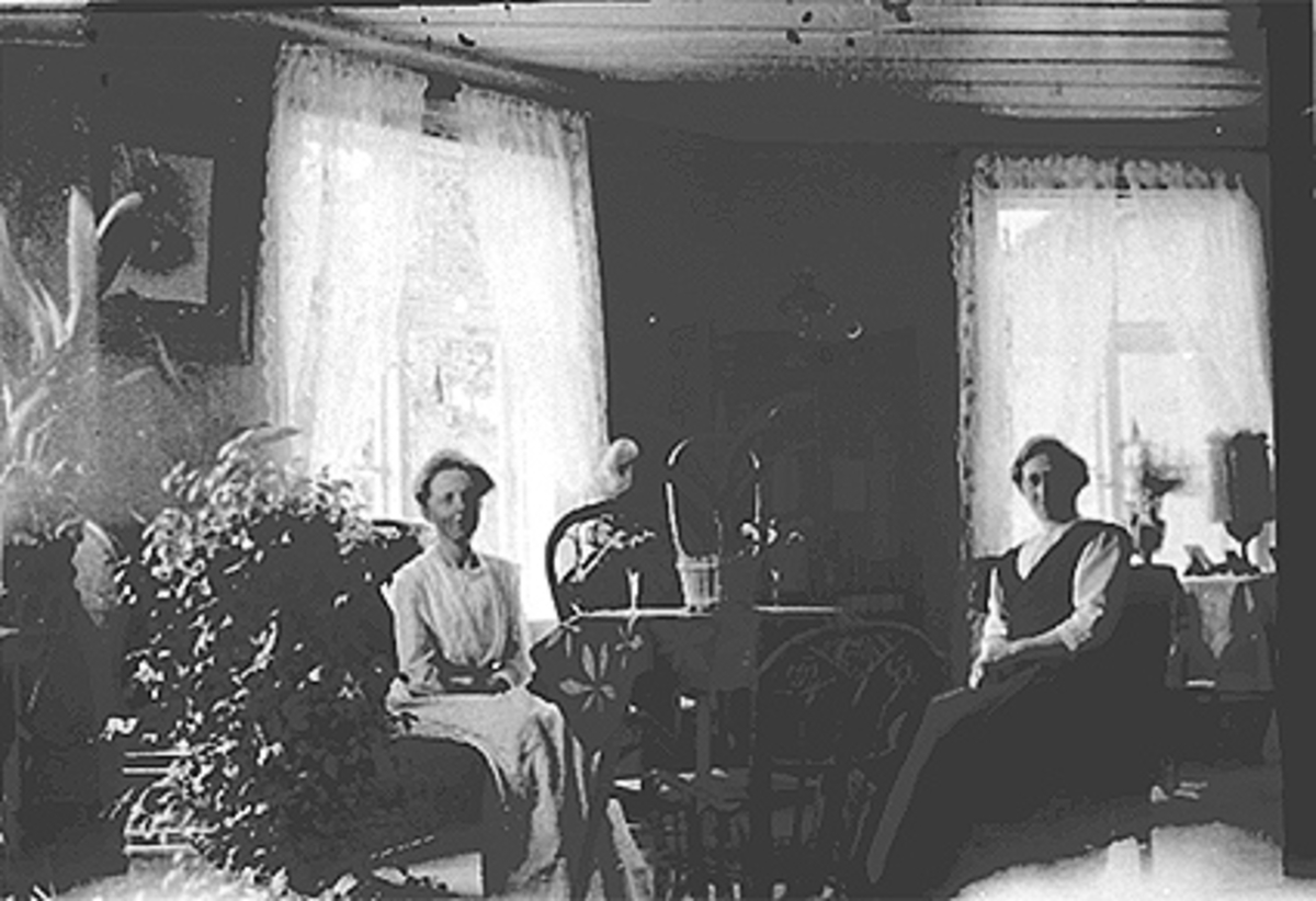Anno Domkirkeodden, STUEINTERIØR, HJEMME HOS JULIE ØSTBYE, UKJENT KVINNE, MØBLER, PLANTER, GARDINER, BILDER