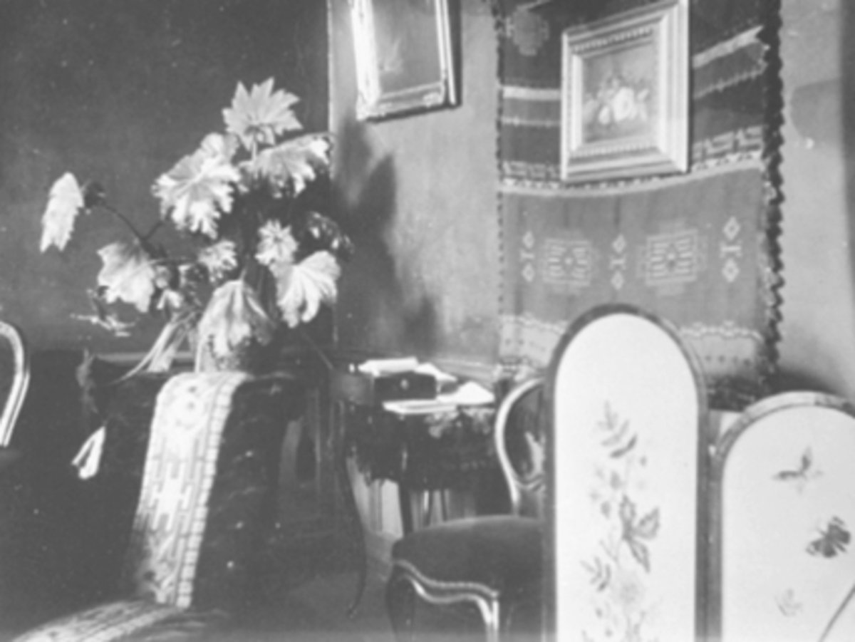 Anno Domkirkeodden, INTERIØR, CARL BORCHREVINKS BOLIG, PLANTER, BILDER, STOLER, TORGGATA 3
