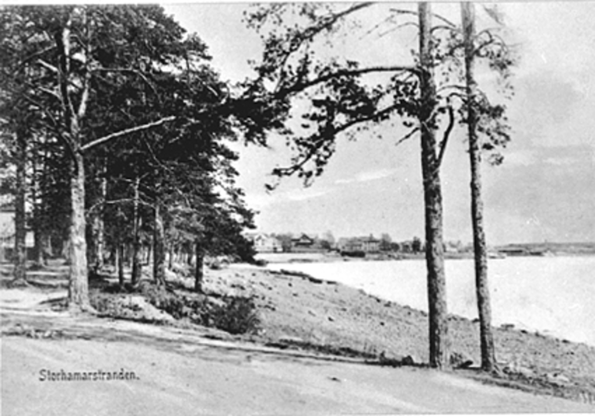 Anno Domkirkeodden, OVERSIKT RIDEHUSSTRANDA, STRANDPROMENADEN, HØIENSALODDEN, STERUDODDEN