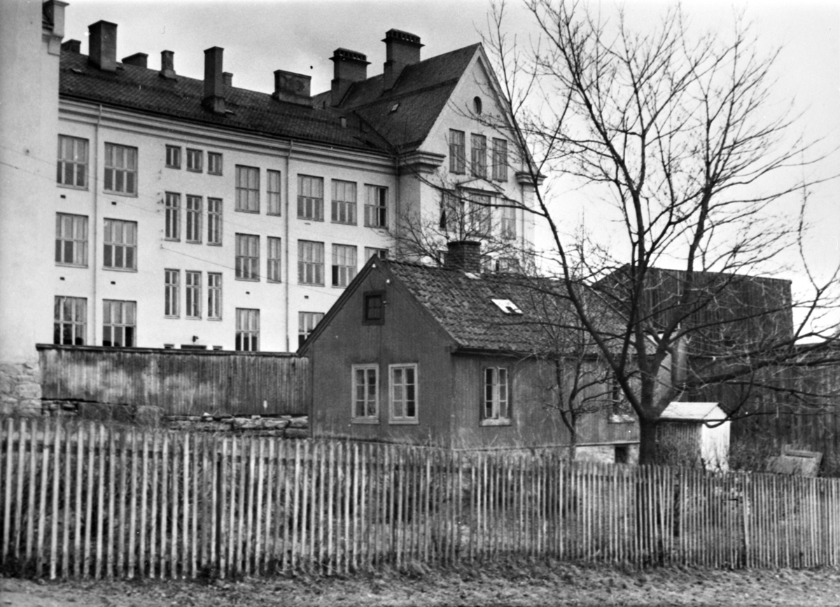 Anno Domkirkeodden, EKSTERIØR TORGGATA 124, HAMAR KATEDRALSKOLE, KATTA I BAKGRUNNEEN