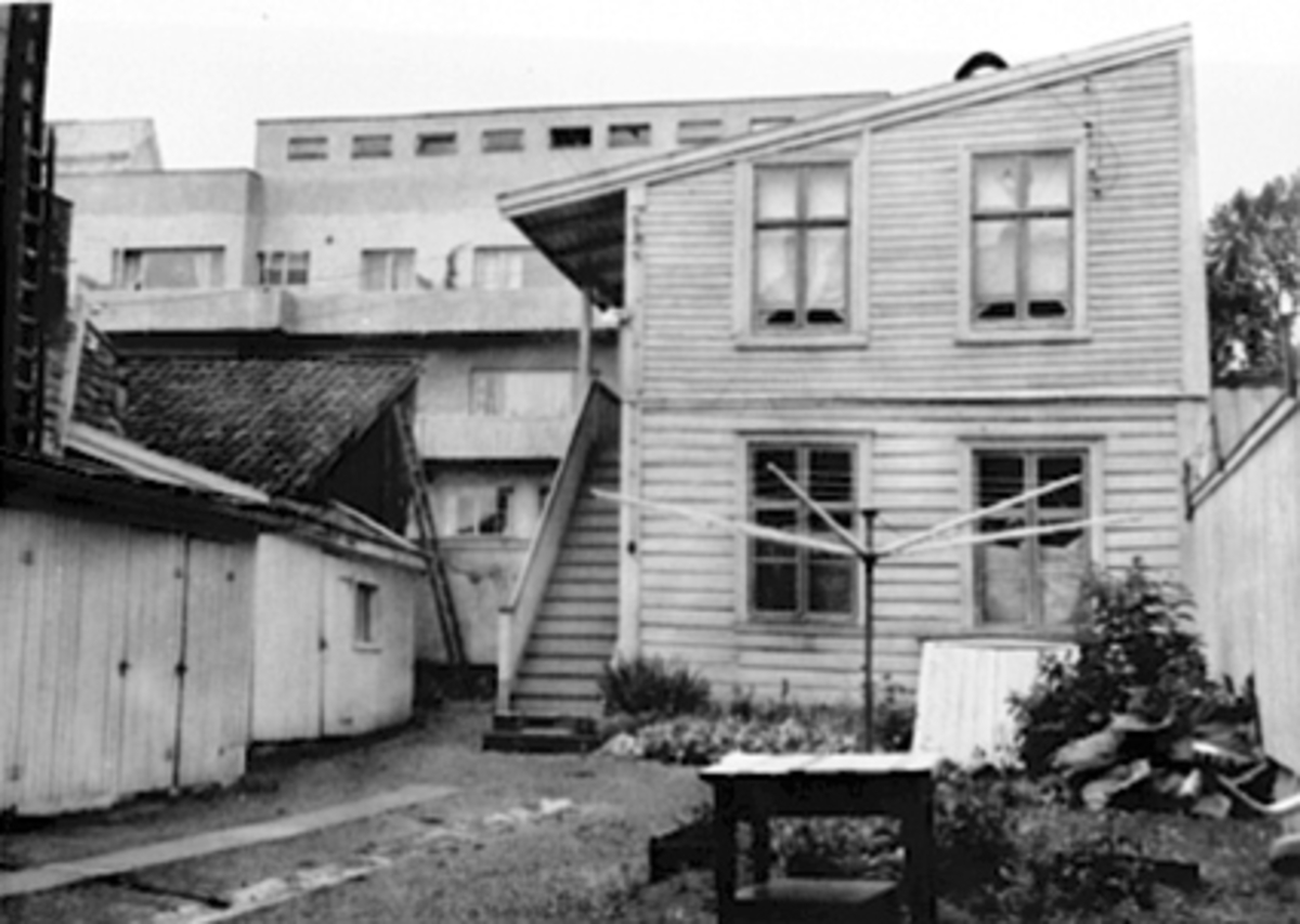 Anno Domkirkeodden, EKSTERIØR BAKGÅRD, SKAPPELSGATE 15, TØRKESTATIV, RABARBRAPLANTE